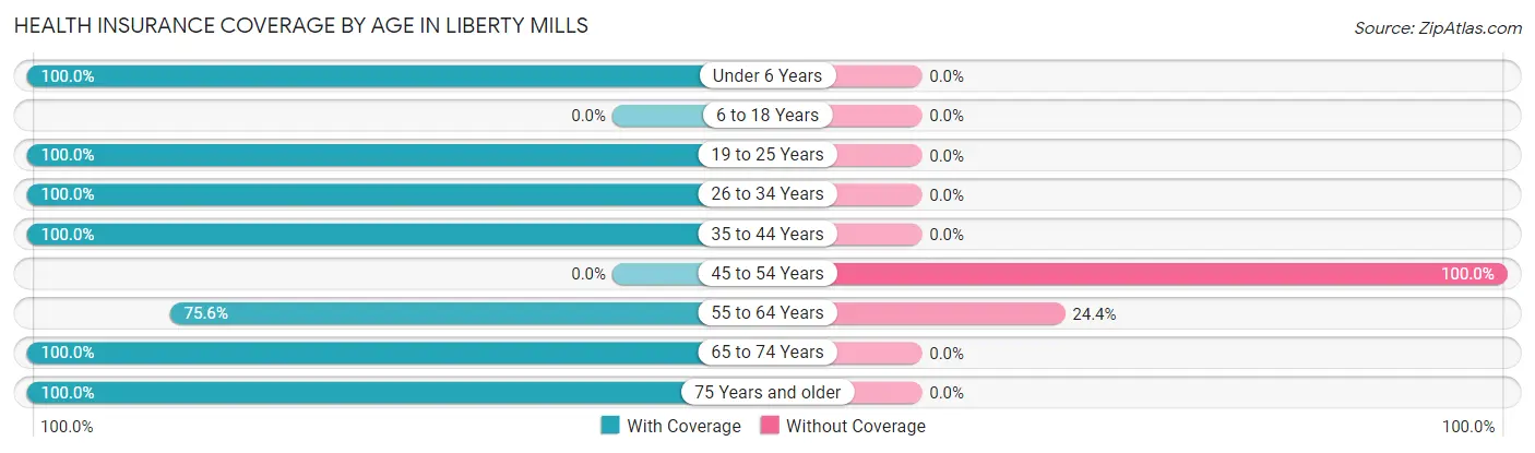 Health Insurance Coverage by Age in Liberty Mills