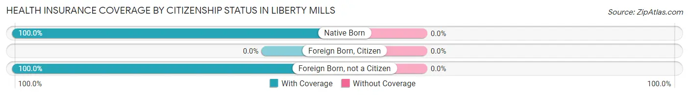 Health Insurance Coverage by Citizenship Status in Liberty Mills