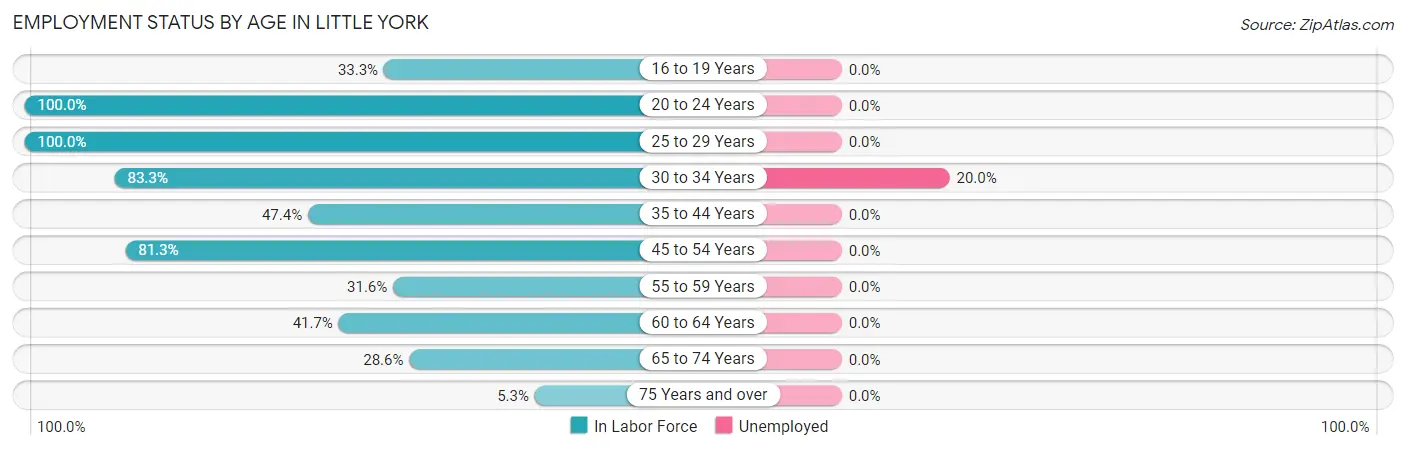 Employment Status by Age in Little York