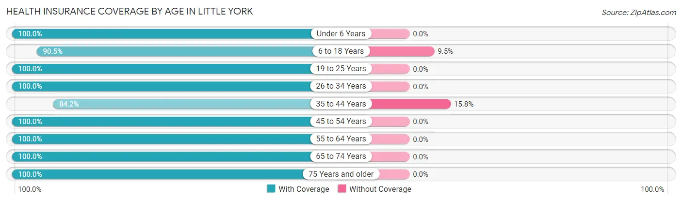 Health Insurance Coverage by Age in Little York
