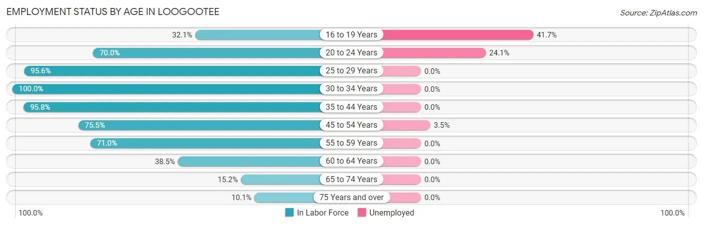Employment Status by Age in Loogootee