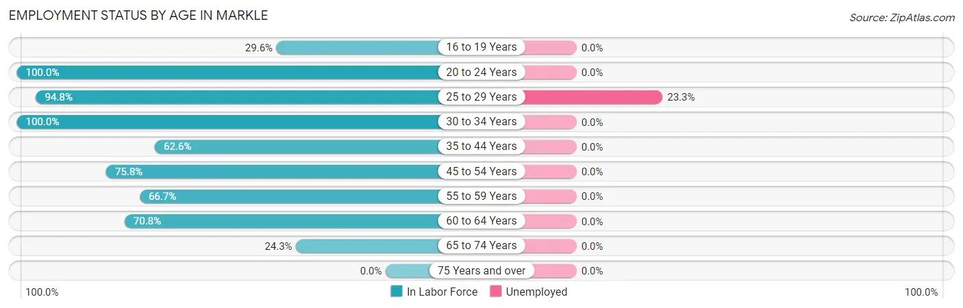 Employment Status by Age in Markle