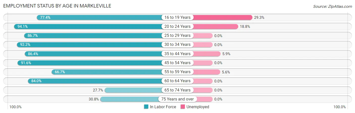 Employment Status by Age in Markleville