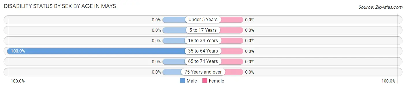 Disability Status by Sex by Age in Mays