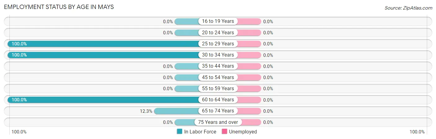 Employment Status by Age in Mays