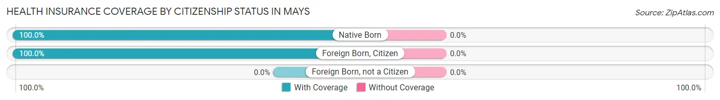 Health Insurance Coverage by Citizenship Status in Mays