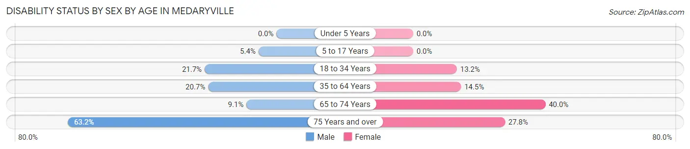 Disability Status by Sex by Age in Medaryville
