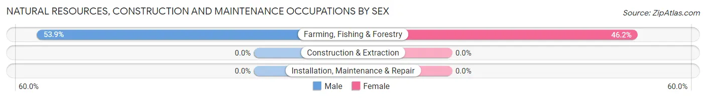 Natural Resources, Construction and Maintenance Occupations by Sex in Medaryville