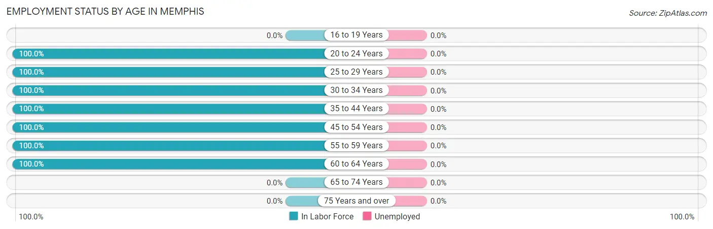 Employment Status by Age in Memphis