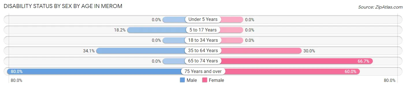 Disability Status by Sex by Age in Merom