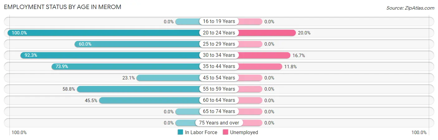 Employment Status by Age in Merom