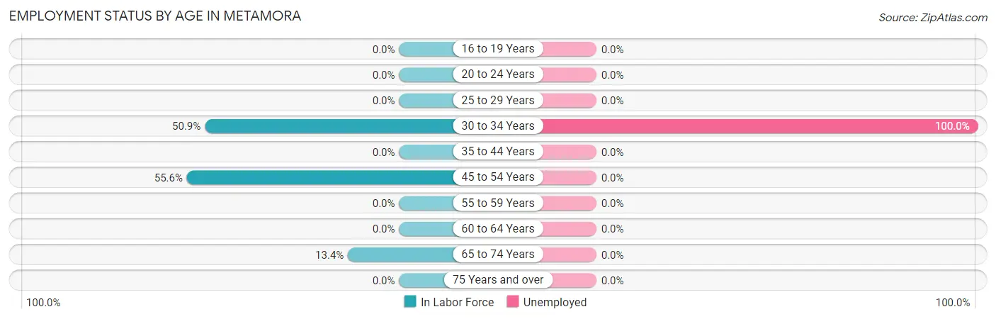 Employment Status by Age in Metamora