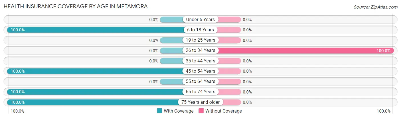 Health Insurance Coverage by Age in Metamora