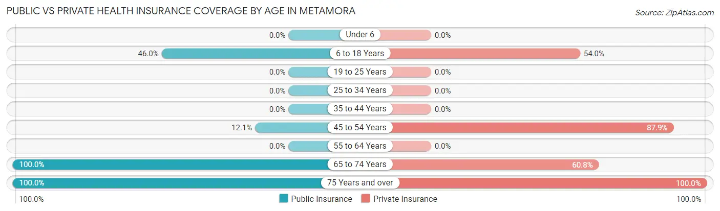 Public vs Private Health Insurance Coverage by Age in Metamora