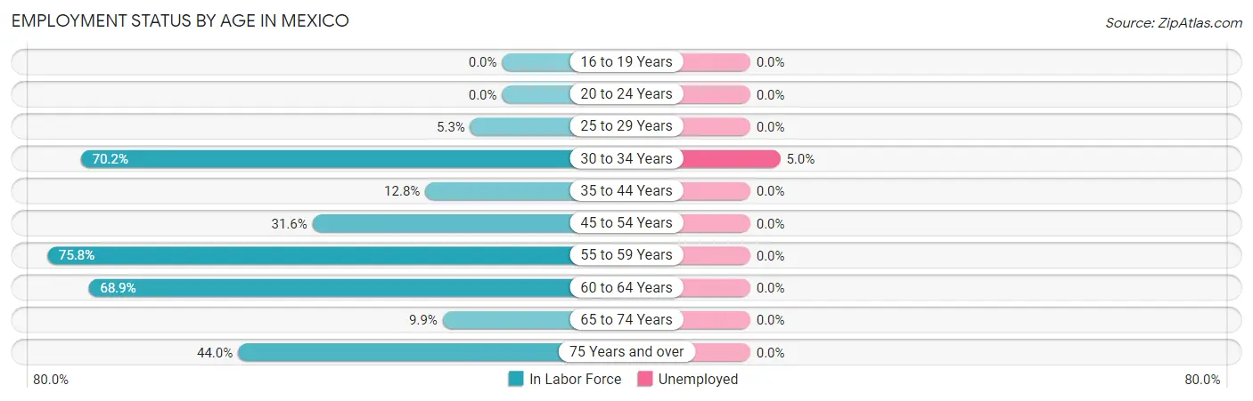 Employment Status by Age in Mexico