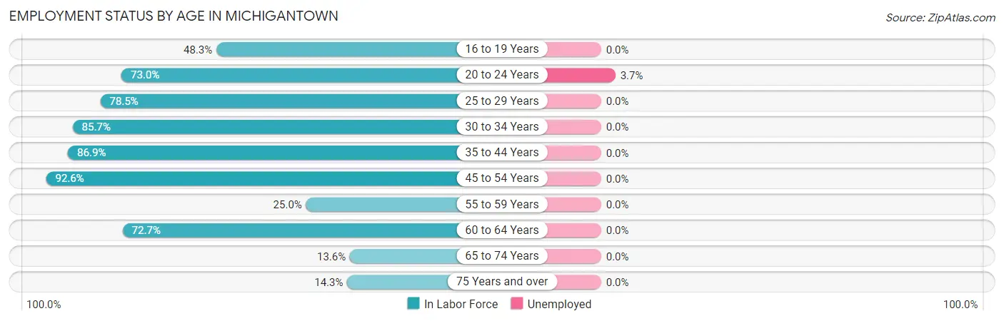 Employment Status by Age in Michigantown
