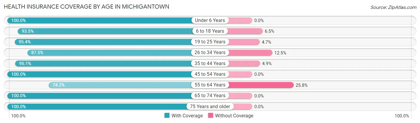Health Insurance Coverage by Age in Michigantown