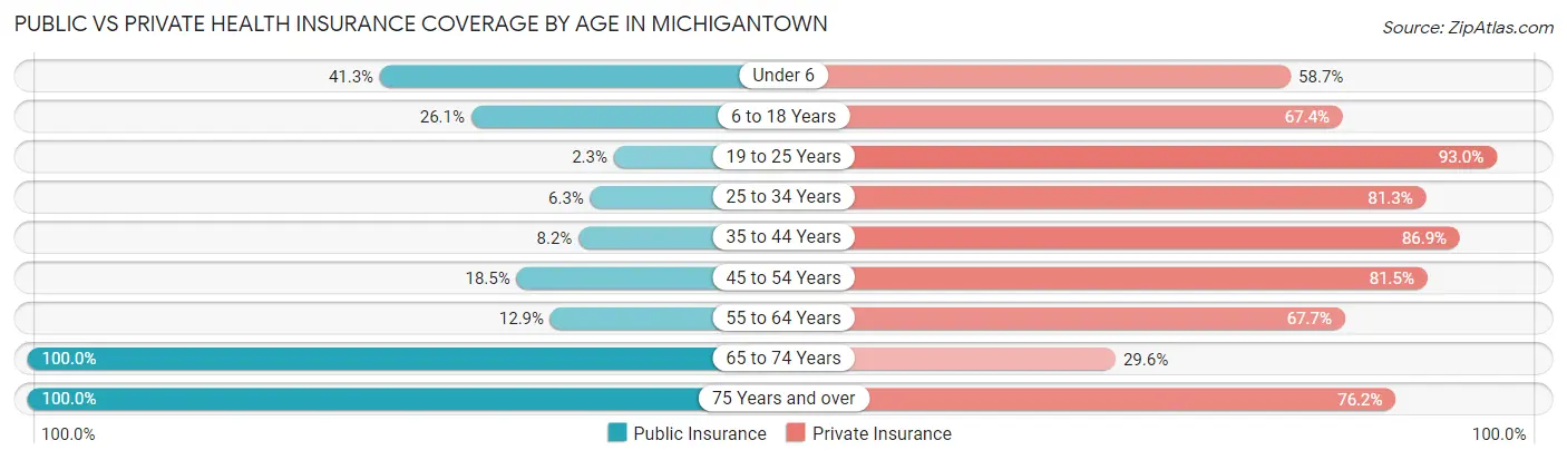 Public vs Private Health Insurance Coverage by Age in Michigantown