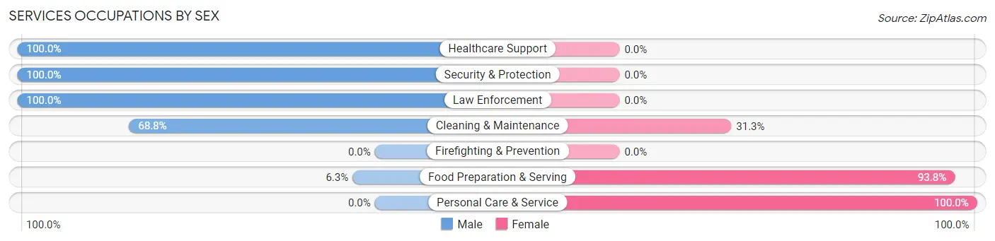 Services Occupations by Sex in Michigantown