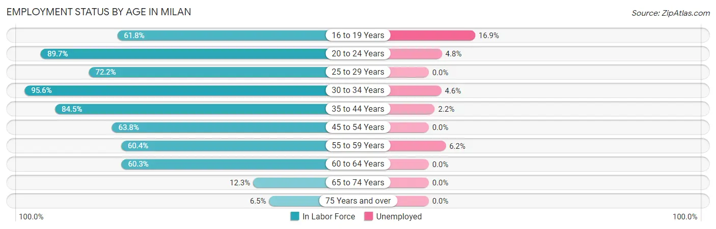 Employment Status by Age in Milan