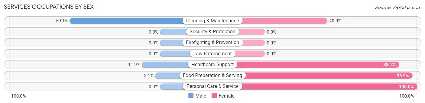 Services Occupations by Sex in Milan