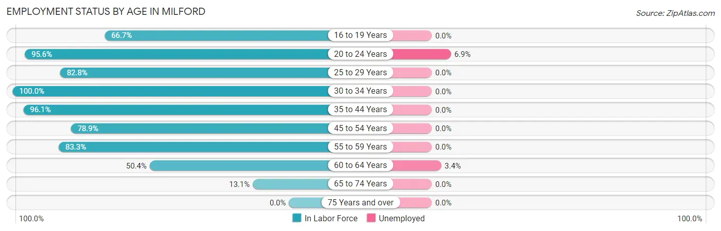 Employment Status by Age in Milford