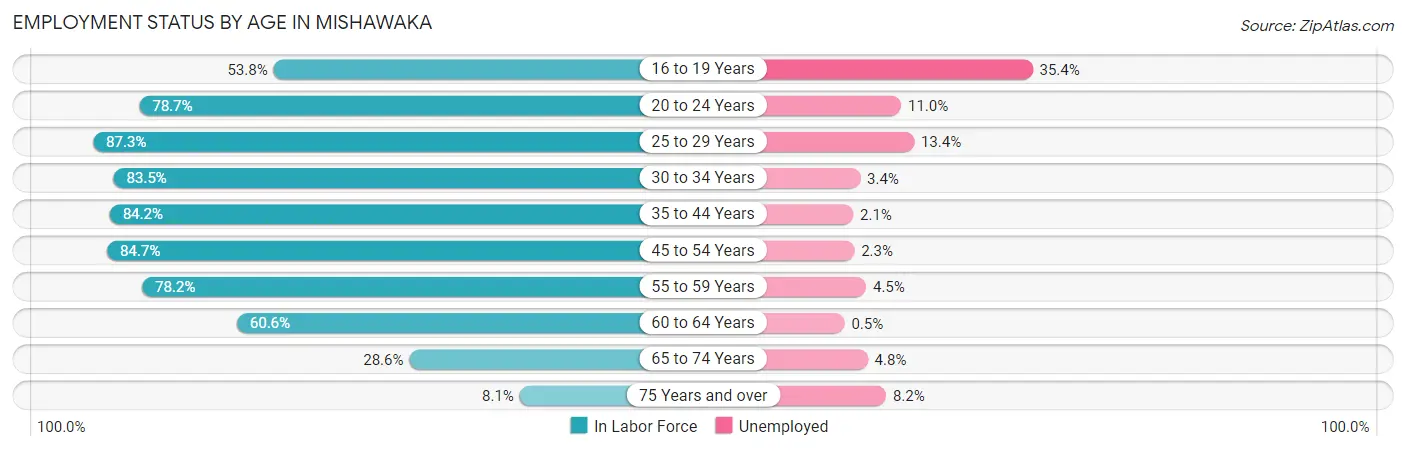 Employment Status by Age in Mishawaka