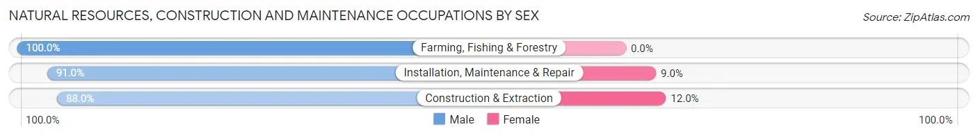 Natural Resources, Construction and Maintenance Occupations by Sex in Mishawaka