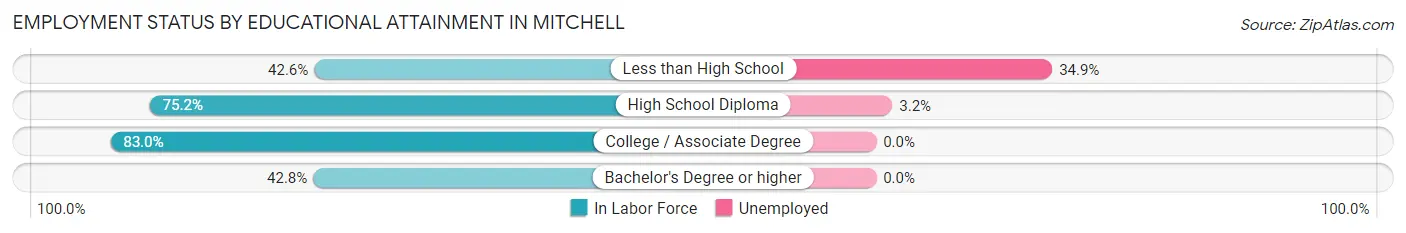 Employment Status by Educational Attainment in Mitchell