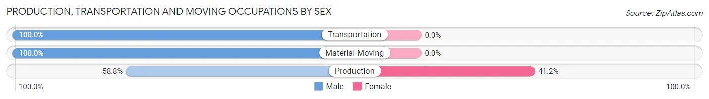 Production, Transportation and Moving Occupations by Sex in Mitchell