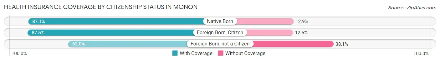 Health Insurance Coverage by Citizenship Status in Monon