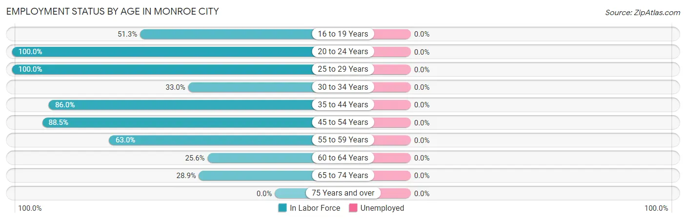Employment Status by Age in Monroe City