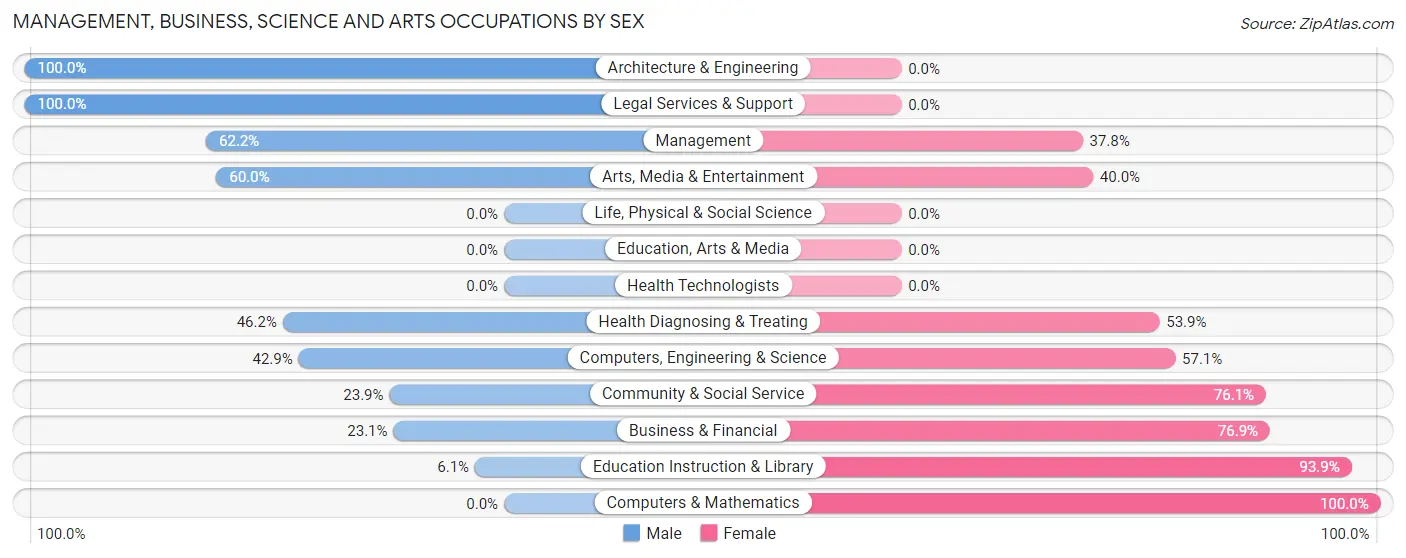 Management, Business, Science and Arts Occupations by Sex in Morocco