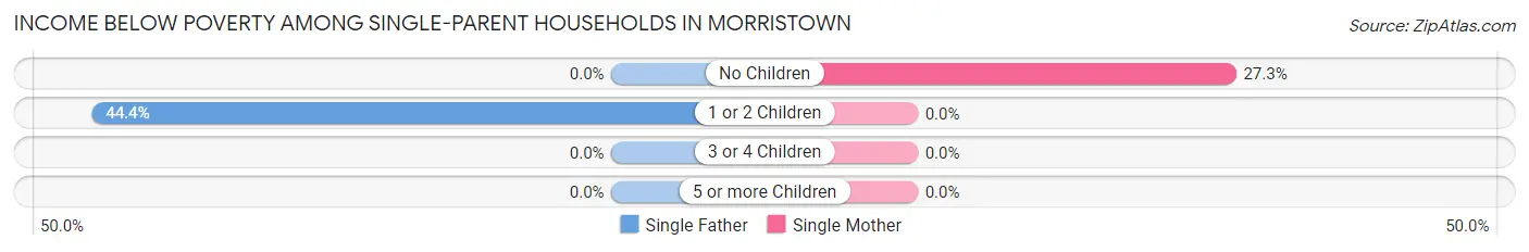 Income Below Poverty Among Single-Parent Households in Morristown