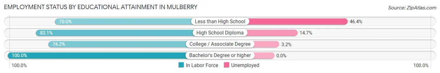 Employment Status by Educational Attainment in Mulberry