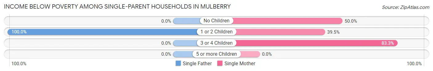 Income Below Poverty Among Single-Parent Households in Mulberry
