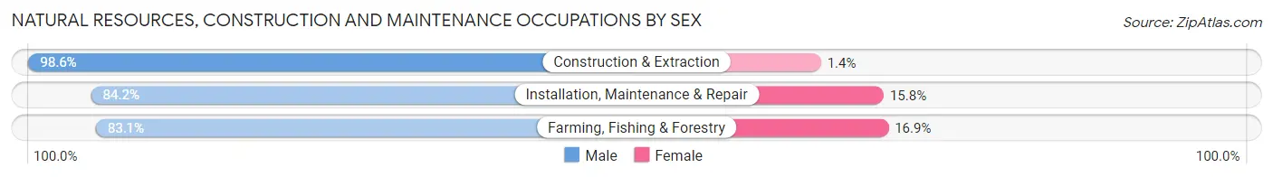 Natural Resources, Construction and Maintenance Occupations by Sex in Muncie