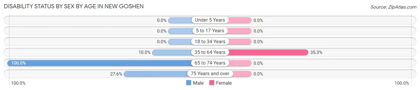 Disability Status by Sex by Age in New Goshen