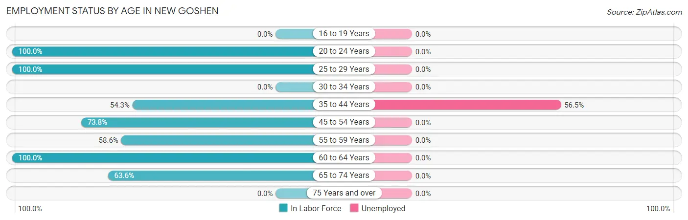 Employment Status by Age in New Goshen