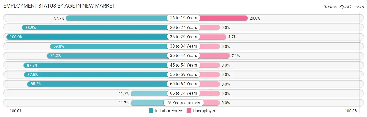 Employment Status by Age in New Market
