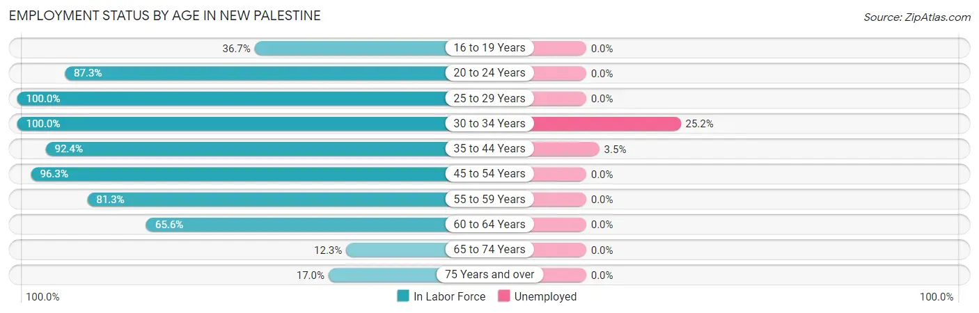 Employment Status by Age in New Palestine