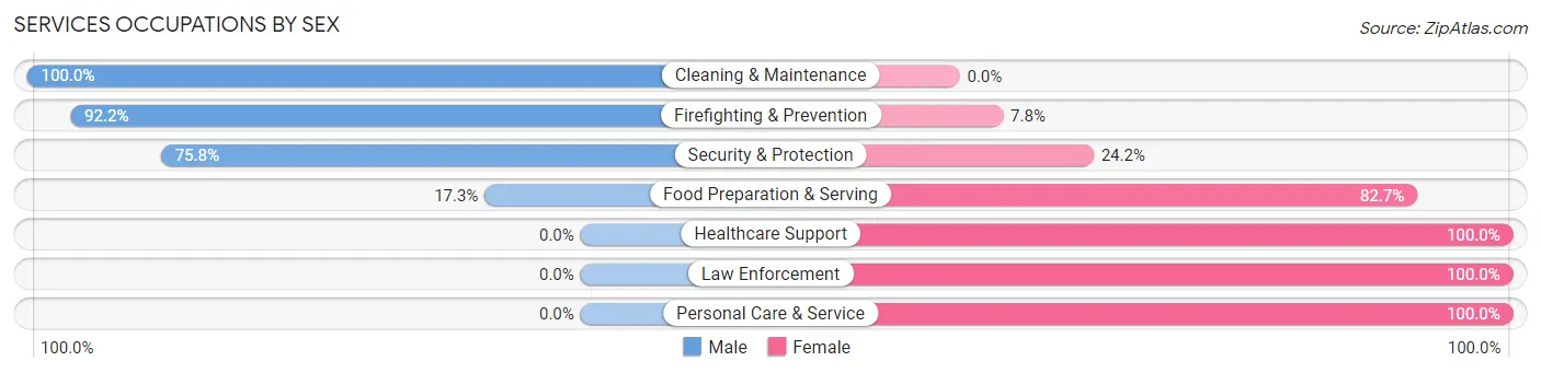 Services Occupations by Sex in New Palestine