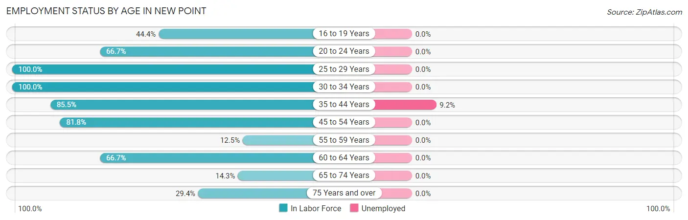 Employment Status by Age in New Point