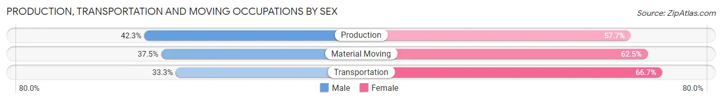 Production, Transportation and Moving Occupations by Sex in New Point