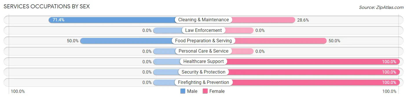 Services Occupations by Sex in New Point
