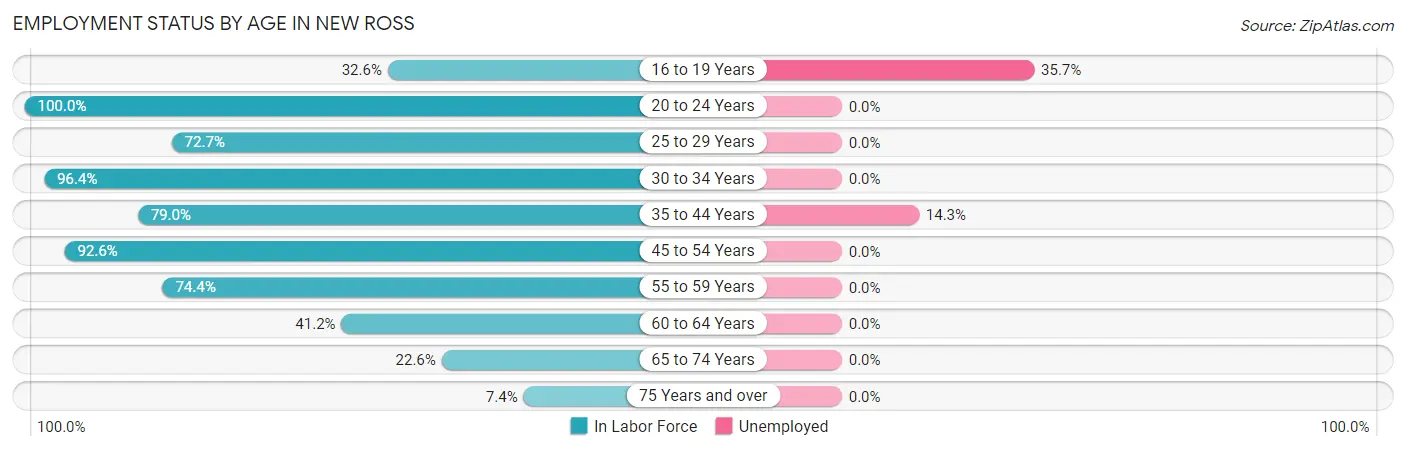 Employment Status by Age in New Ross