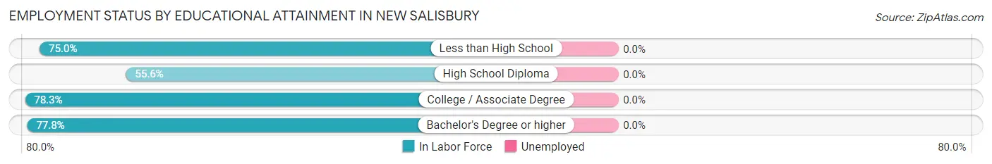 Employment Status by Educational Attainment in New Salisbury