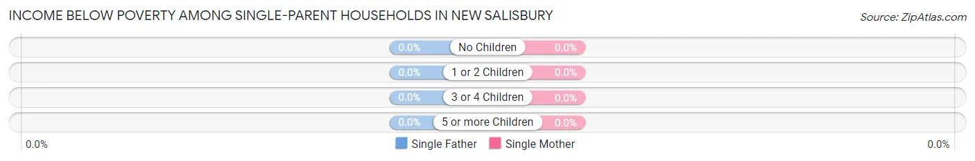 Income Below Poverty Among Single-Parent Households in New Salisbury