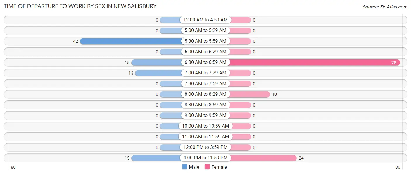 Time of Departure to Work by Sex in New Salisbury