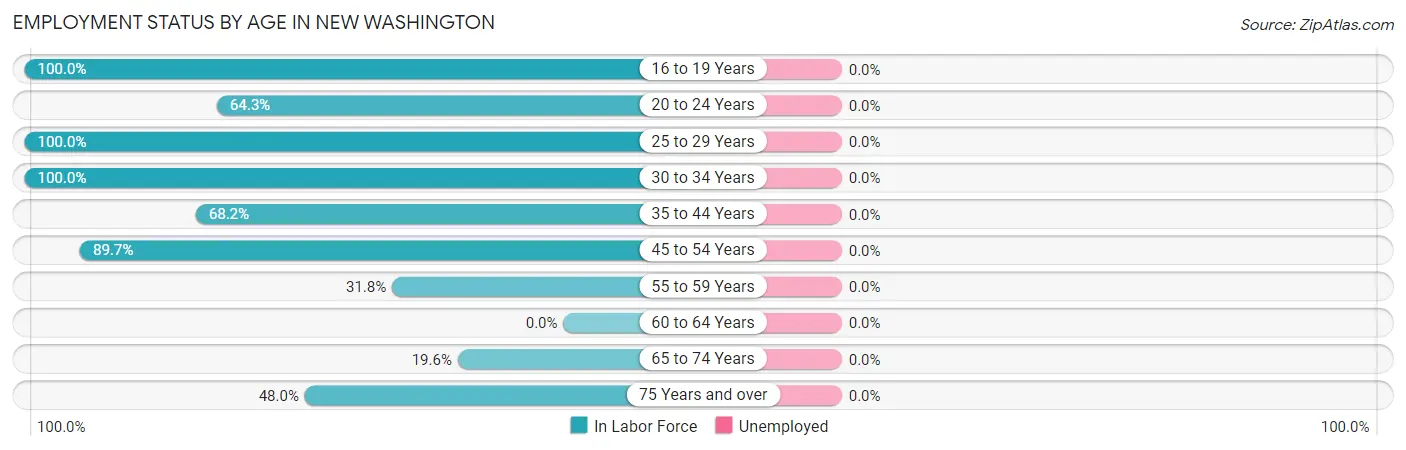 Employment Status by Age in New Washington